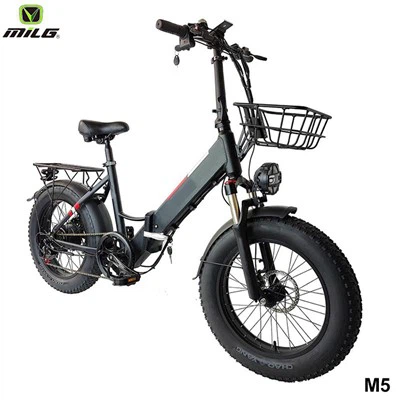 Qual è la resistenza del telaio di una bicicletta elettrica pieghevole?